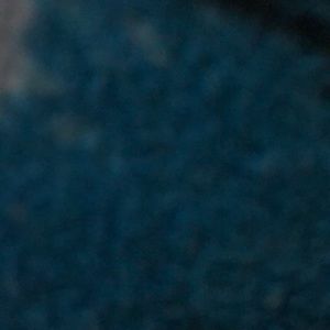 Meet your Posher, Lina